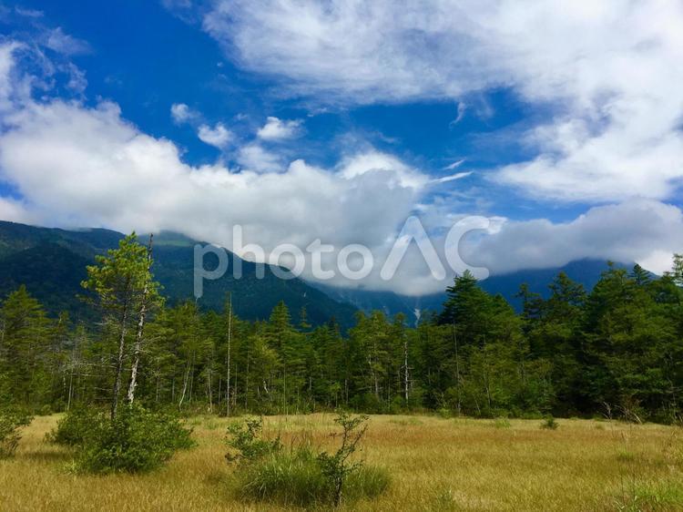 山と青空と草原 山,木々,緑の写真素材