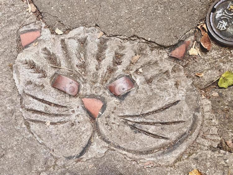 猫の細道の地面(アップ)・広島 尾道 ねこの細道,尾道,石の写真素材
