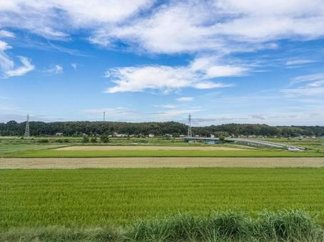 京成線車窓より 佐倉市角来の佐倉橋遠望 京成線車窓より 佐倉市角来の佐倉橋遠望 佐倉橋,田圃,稲作の写真素材