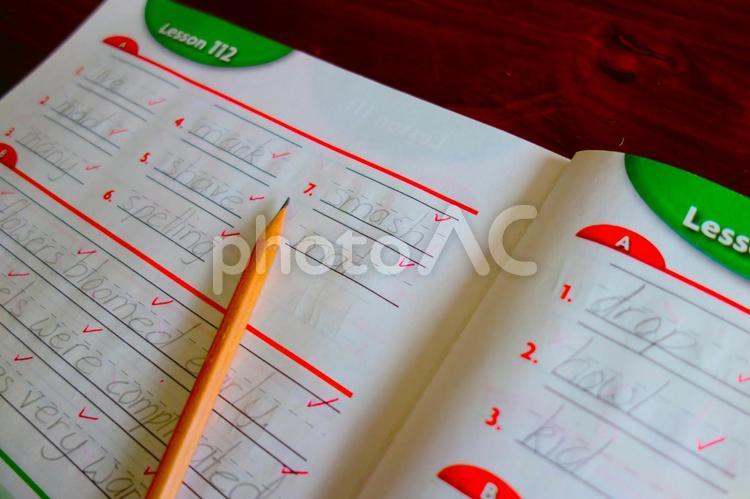英語の宿題 勉強,英語,子どもの写真素材