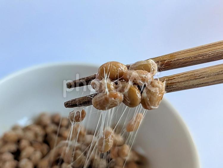 納豆7 納豆,朝食,おかずの写真素材