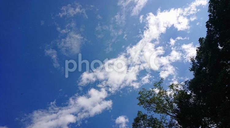 空と僕との間には 空,青空,雲の写真素材