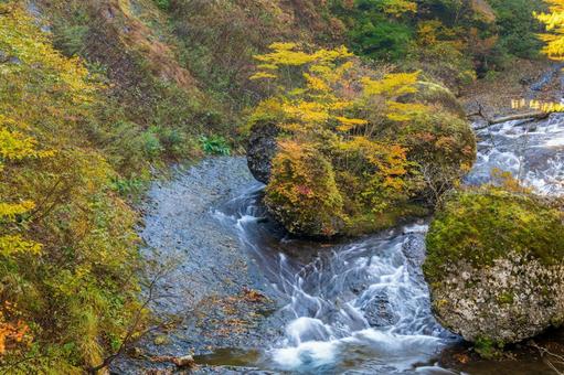 二口渓谷の紅葉⑷ 秋,紅葉,山の写真素材
