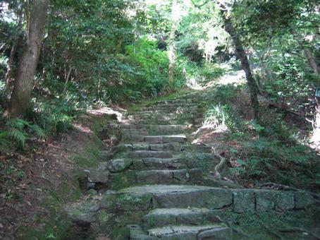 宇和島城 城跡の風景 宇和島城 城跡の風景 宇和島城,藤堂高虎,現存天守の写真素材