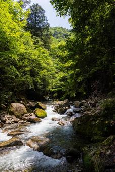 山の風景 山の風景の写真