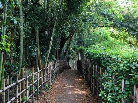 佐倉城跡公園のひよどり坂 佐倉城跡公園のひよどり坂の写真