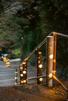 幻想的な夜の竹灯り 竹灯り,竹灯籠,夜景の写真素材