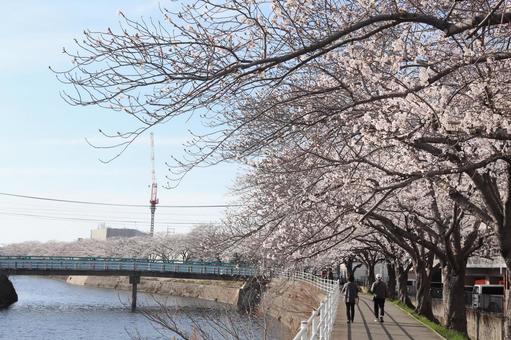 宇美町 川 宇美町 川の写真