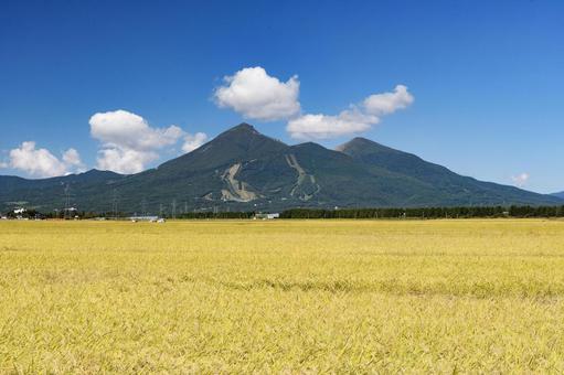 黄金色に輝く稲穂と磐梯山 黄金色に輝く稲穂と磐梯山の写真