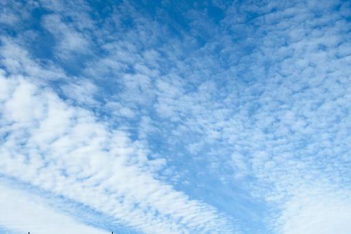 6月の空に流れるうろこ雲 6月の空に流れるうろこ雲の写真