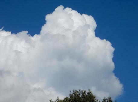 【風景写真】夏空 【風景写真】夏空の写真