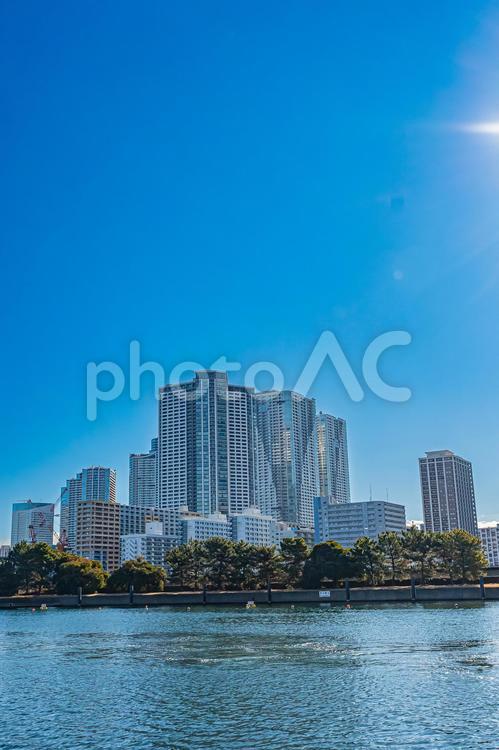 東京　浜離宮恩賜庭園の風景 東京,東京都,浜離宮恩賜庭園の写真素材