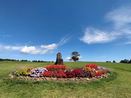 青空と赤い花やピンクの花の花壇 青空と赤い花やピンクの花の花壇 青空,空,花の写真素材
