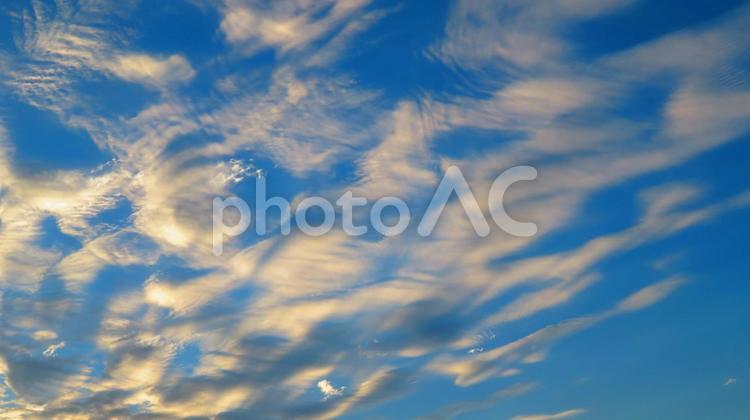 ６月下旬の池の朝の空 背景,朝,屋外の写真素材