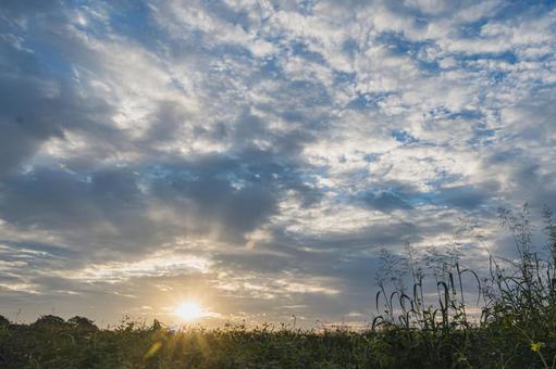 秋の日の出の写真