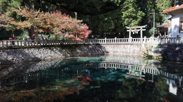 心落ち着く日本の秋の風景 心落ち着く日本の秋の風景の写真