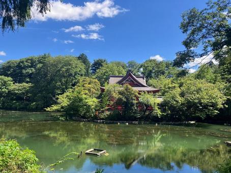 夏の井の頭弁財天 夏の井の頭弁財天の写真