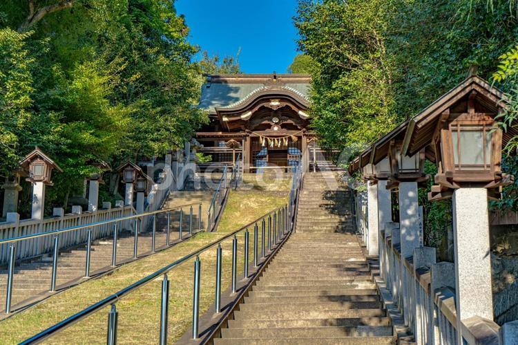 備後護国神社の風景 備後護国神社,神社,福山市の写真素材