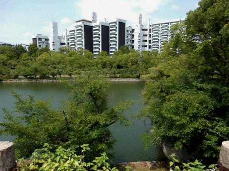 【風景写真】広島城からの眺め 【風景写真】広島城からの眺め 広島城,堀,木々の写真素材