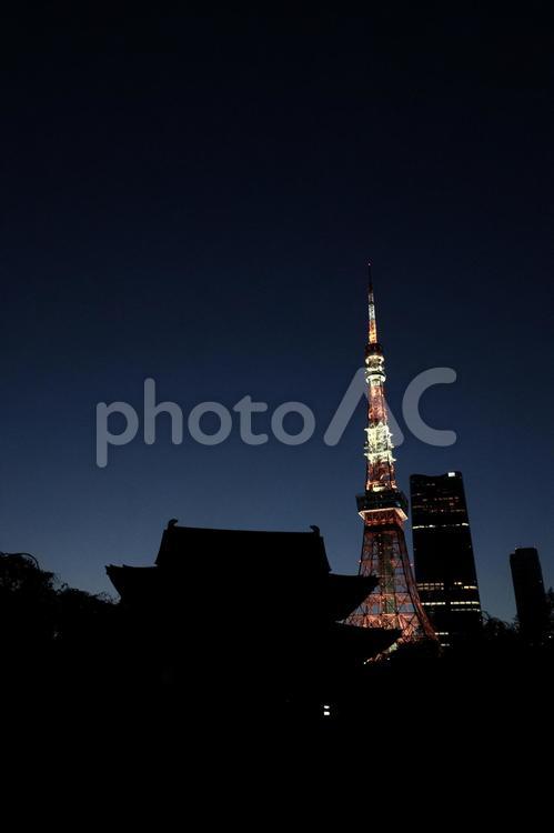 東京タワーライトアップ　増上寺より 東京タワー,ライトアップ,増上寺の写真素材
