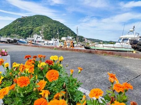 稲生沢川沿いの下田港 寝姿山と橙色の花 稲生沢川沿いの下田港 寝姿山と橙色の花 寝姿山,下田港,稲生沢川の写真素材