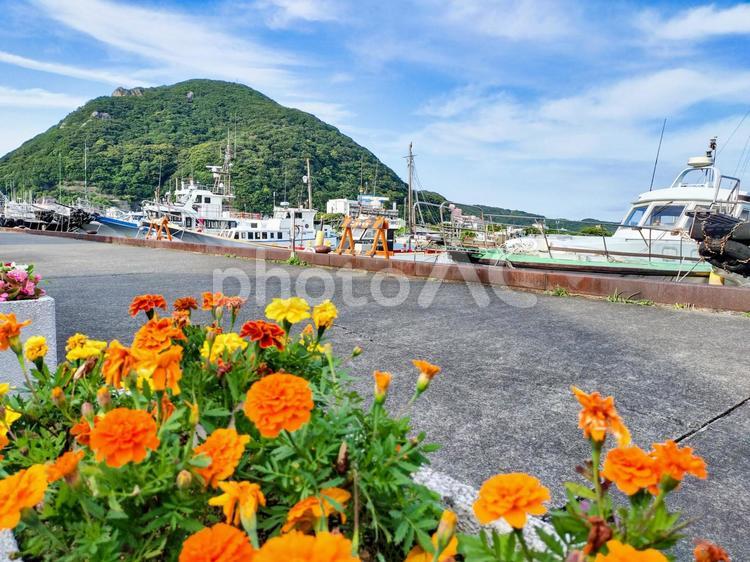 稲生沢川沿いの下田港　寝姿山と橙色の花 寝姿山,下田港,稲生沢川の写真素材