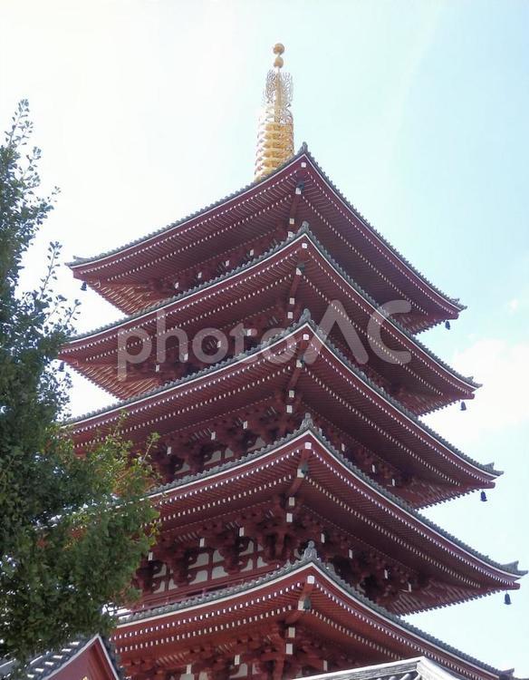 【風景写真】浅草／浅草寺の風景 浅草寺,浅草,聖観音宗の写真素材