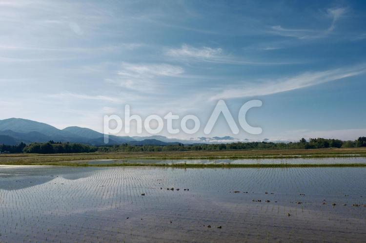 秋田仙北市の春の水田風景 秋田,仙北市,絶景の写真素材