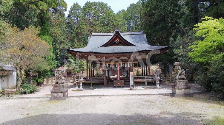 滋賀県-大笹原神社拝殿 大笹原神社,拝殿,神社の写真素材