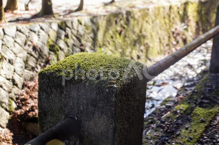 永保寺36（多治見市） 永保寺,虎渓山,国宝の写真素材