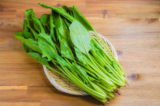 ほうれん草 ほうれん草,野菜,葉物野菜の写真素材
