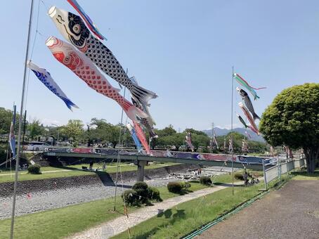 鯉のぼり 風景,鯉のぼり,空の写真素材