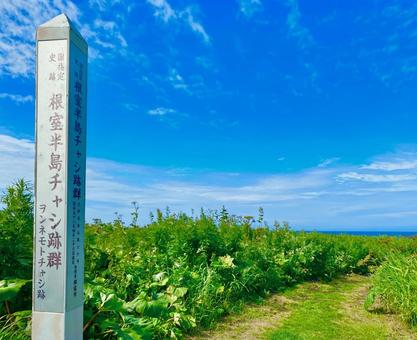 ヲンネモトチャシ ヲンネモトチャシ 北海道,根室市,根室半島の写真素材