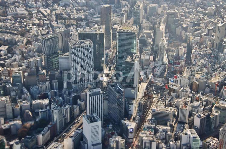 渋谷・空撮（東京） 渋谷,渋谷駅,空撮の写真素材
