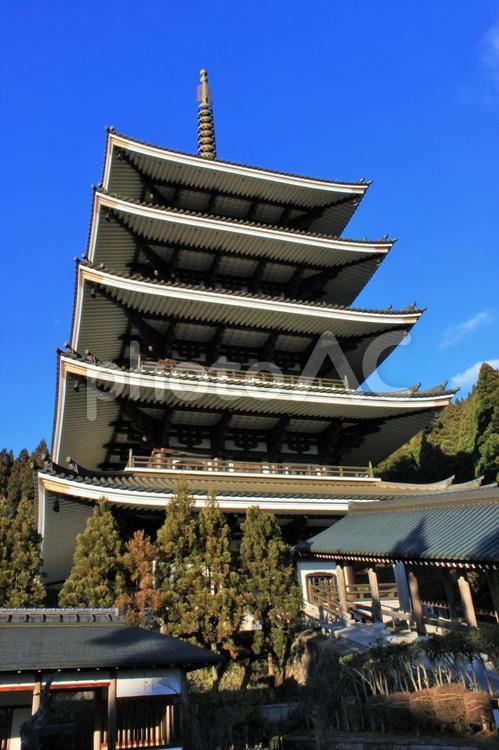 福井　越前大仏　五重塔 五重塔,越前大仏,青空の写真素材