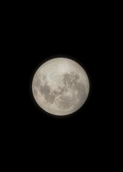 十五夜の月 月,満月,十五夜の写真素材