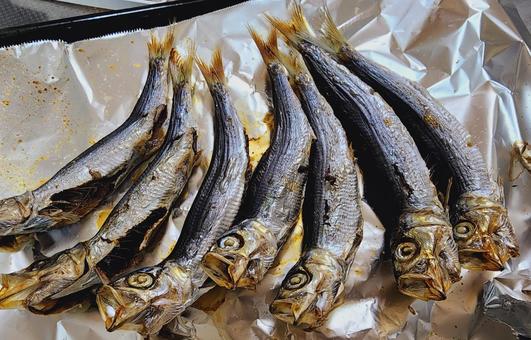 うるめ 丸干し うるめ 丸干し うるめ,丸干し,塩焼きの写真素材