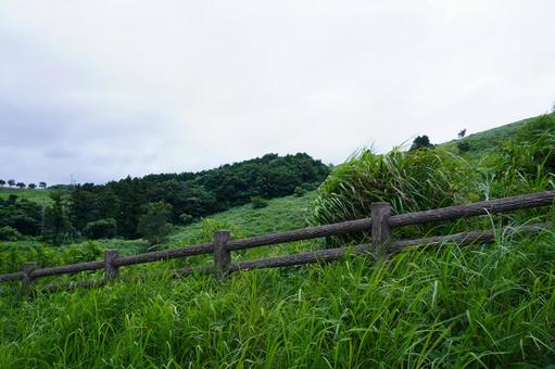 自然の風景 自然の風景の写真