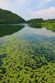 中綱湖1 中綱湖1の写真