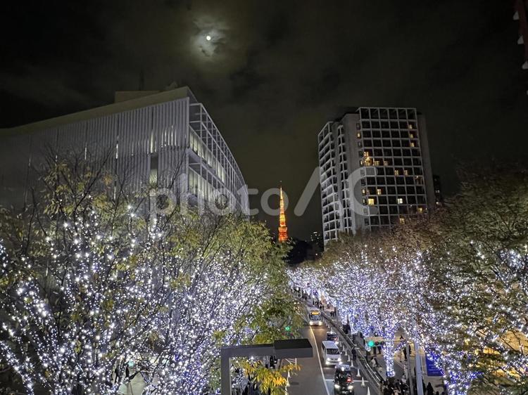 冬の東京タワーとイルミネーションの夜景 東京タワー,イルミネーション,夜景の写真素材