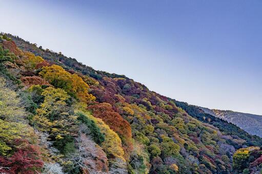京都　嵐山　紅葉 嵐山,京都,紅葉の写真素材