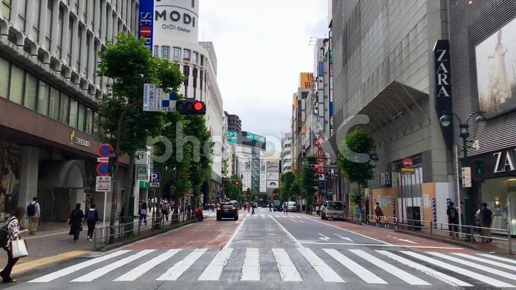 渋谷の風景 渋谷,風景,道路の写真素材
