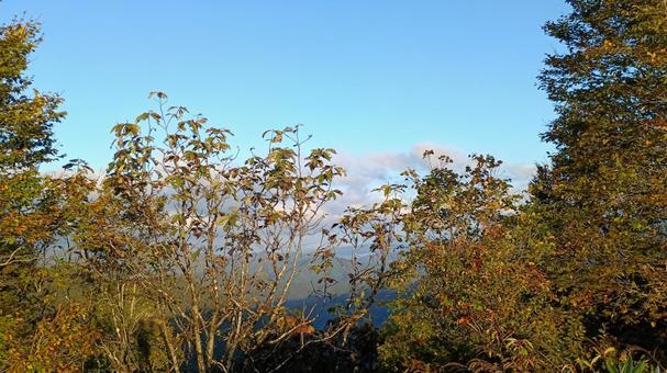 早朝の枝折峠 枝折峠,山,早朝の写真素材