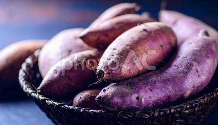 収穫したさつま芋 さつま芋,スイートポテト,フレッシュの写真素材