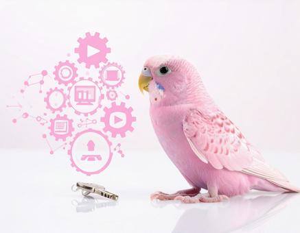 鳥と学ぶ 鳥と学ぶの写真