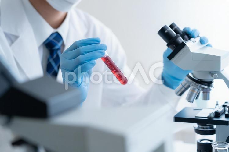 研究所で実験をする研究者 研究,科学,実験の写真素材