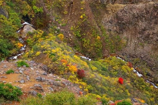 蔵王の紅葉⒃の写真