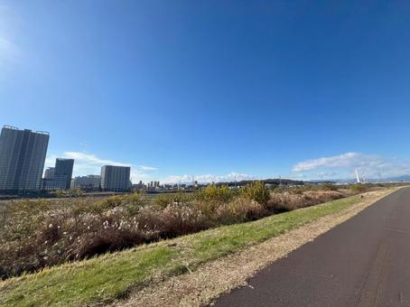 多摩川沿い 多摩川沿いの写真