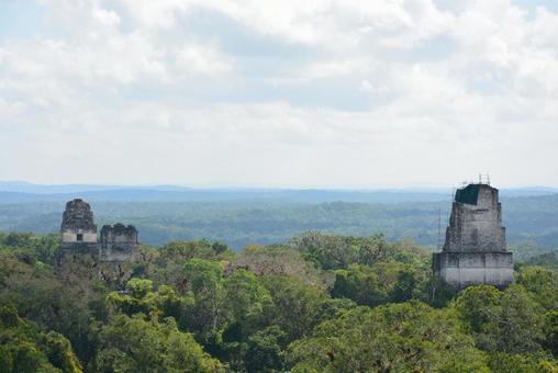 密林に浮かぶティカル遺跡 ティカル遺跡,マヤ文明,遺跡の写真素材