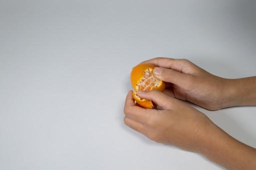 皮がむけ始めたみかんとコピースペース みかん,手,人の写真素材